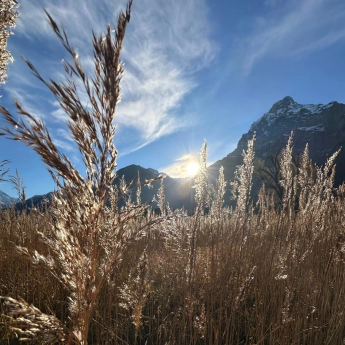Energiearbeit zur Erdung und Stabilität in intensiven Zeiten