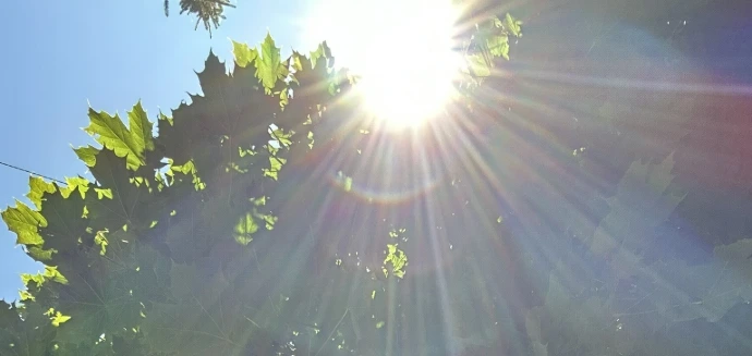 Alexandra Diana Meyer, Mentorin für BewusstSein, BewusstSein Coaching, ganzheitliches Coaching, spirituelles Coaching, energetisches Healing, Channeling Begleitung, Persönlichkeitsentwicklung Bewusstsein, innere Klarheit finden, Coaching online Schweiz