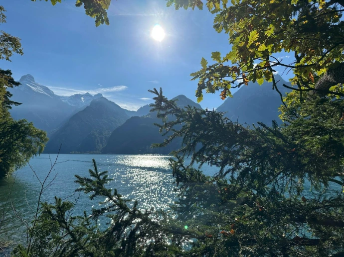 Energiearbeit zur Erdung und Stabilität in intensiven Zeiten