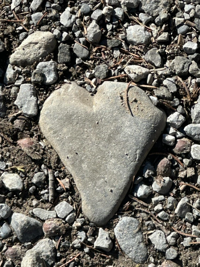 Alexandra Diana Meyer, Mentorin für BewusstSein, BewusstSein Coaching, ganzheitliches Coaching, spirituelles Coaching, energetisches Healing, Channeling Begleitung, Persönlichkeitsentwicklung Bewusstsein, innere Klarheit finden, Coaching online Schweiz